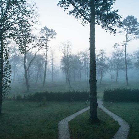 Les Chambres D'Hotes Du Domaine De Lugazaut Vielle-Soubiran Экстерьер фото